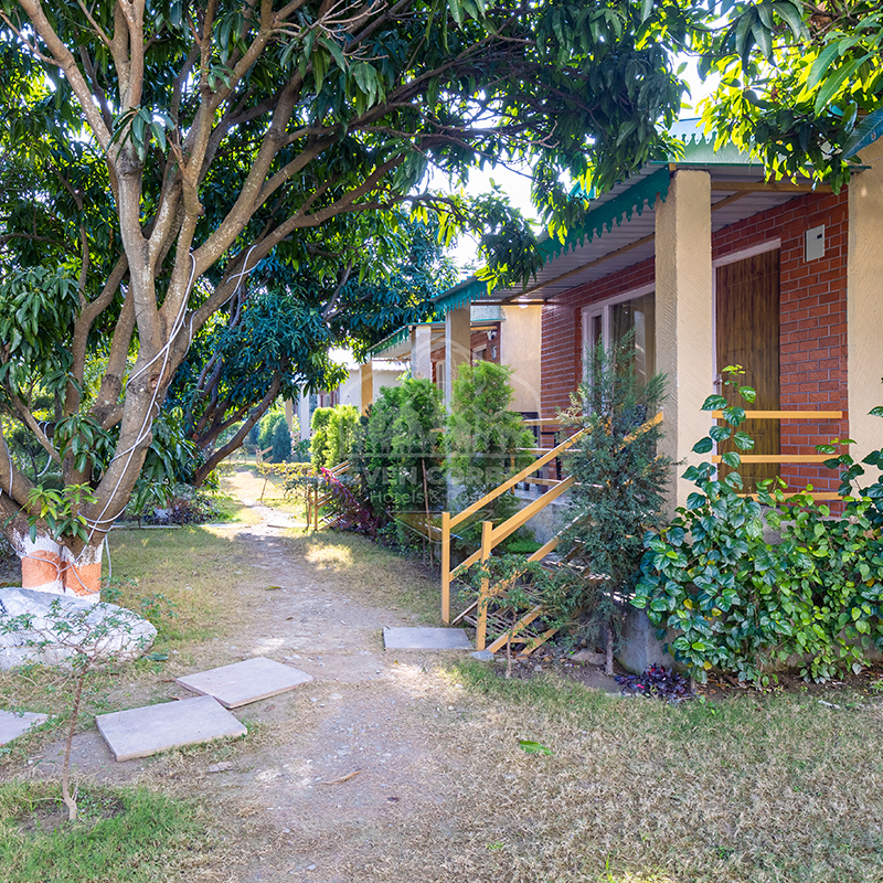 Best Jim Corbett Resorts